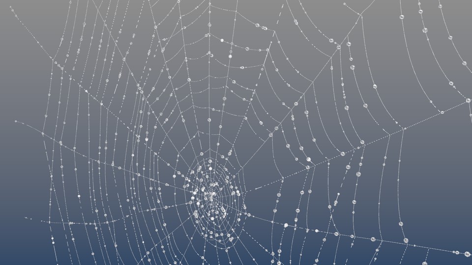 Spiderweb with dew preview image 1